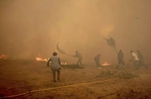 España arde por la peor ola de incendios forestales del siglo
