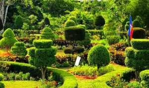 Jardín botánico en Haití corre peligro de desaparecer