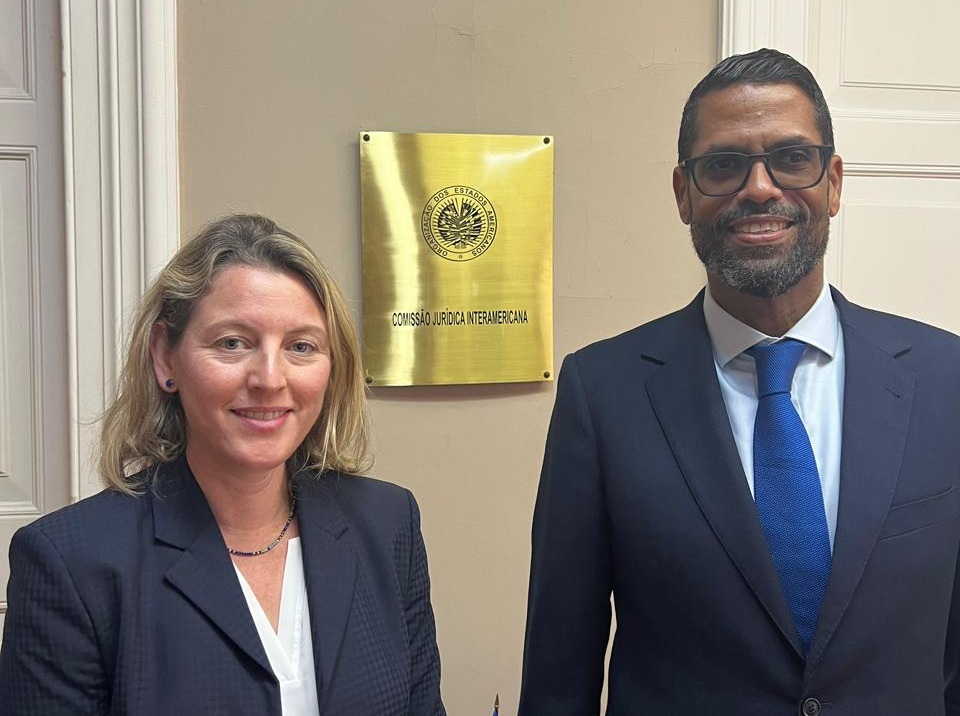 Eligen dominicano presidente del Comité Jurídico de la OEA imagen