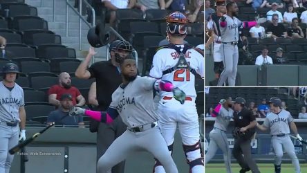 Expulsado pelotero dominicano tras lanzarle bate a pitcher Expulsado pelotero dominicano tras lanzarle bate a pitcher