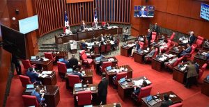 Senado reconoce “Super Ultra Mega Merengazo” de Jarabacoa