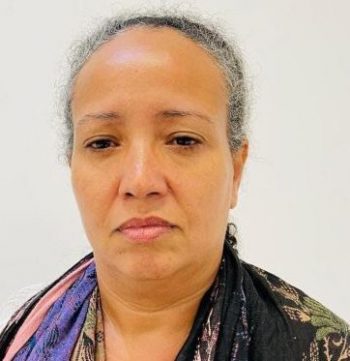 Apagón: la propaganda centrada en que ya todo está resuelto imagen