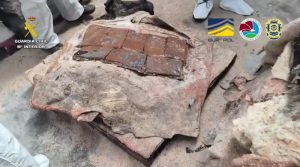 ESPAÑA: Desmantelan red que transportaba droga desde RD