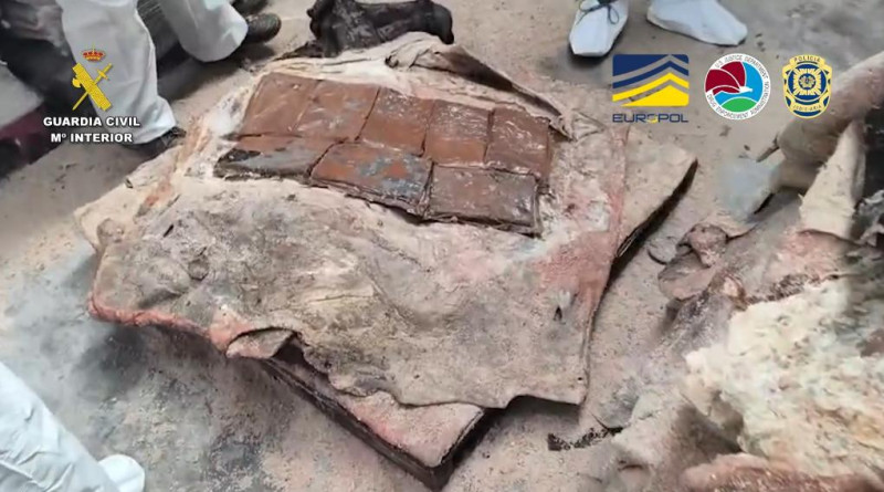 ESPAÑA: Desmantelan red que transportaba droga desde RD imagen