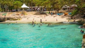 Dice el parque submarino La Caleta estará listo en 30 días