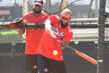 Leones del Escogido incorporan jugadores estelares beisbol RD Leones del Escogido incorporan jugadores estelares beisbol RD