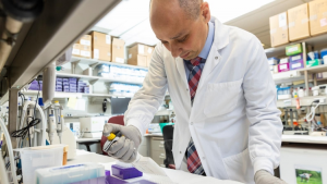 Dicen envejecimiento celular limita eficacia terapia cáncer