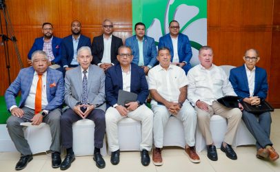 FP exige al Gobierno suspender la licitación del Monorriel de SD FP exige al Gobierno suspender la licitación del Monorriel de SD