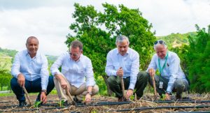 Gobierno inicia en Santiago la cosecha tabacalera 2025-2026