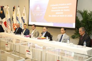 Gobierno lanza una licitación de 600 MW de energía renovable Gobierno lanza una licitación de 600 MW de energía renovable