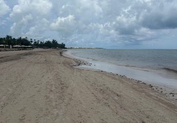 Disminuye llegada de sargazo a playas del este de R.Dominicana Disminuye llegada de sargazo a playas del este de R.Dominicana