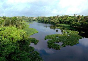 Llaman a preservar cinturón verde ríos Ozama e Isabela 