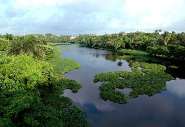 Llaman a preservar cinturón verde ríos Ozama e Isabela Llaman a preservar cinturón verde ríos Ozama e Isabela