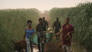 ESPAÑA: Filme RD «Sugar Island» en lista corta Premios Goya