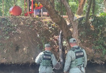 SENPA investiga muerte peces en ríos Matúa e Higüero