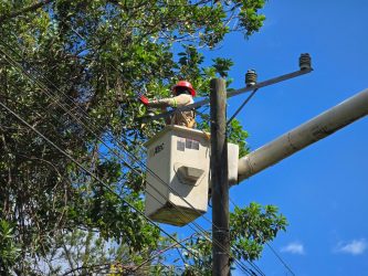 Edenorte realiza adecuaciones redes eléctricas Puerto Plata Edenorte realiza adecuaciones redes eléctricas Puerto Plata