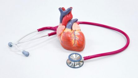 Cardióloga Hospiten rompe mito cultura de marcapasos