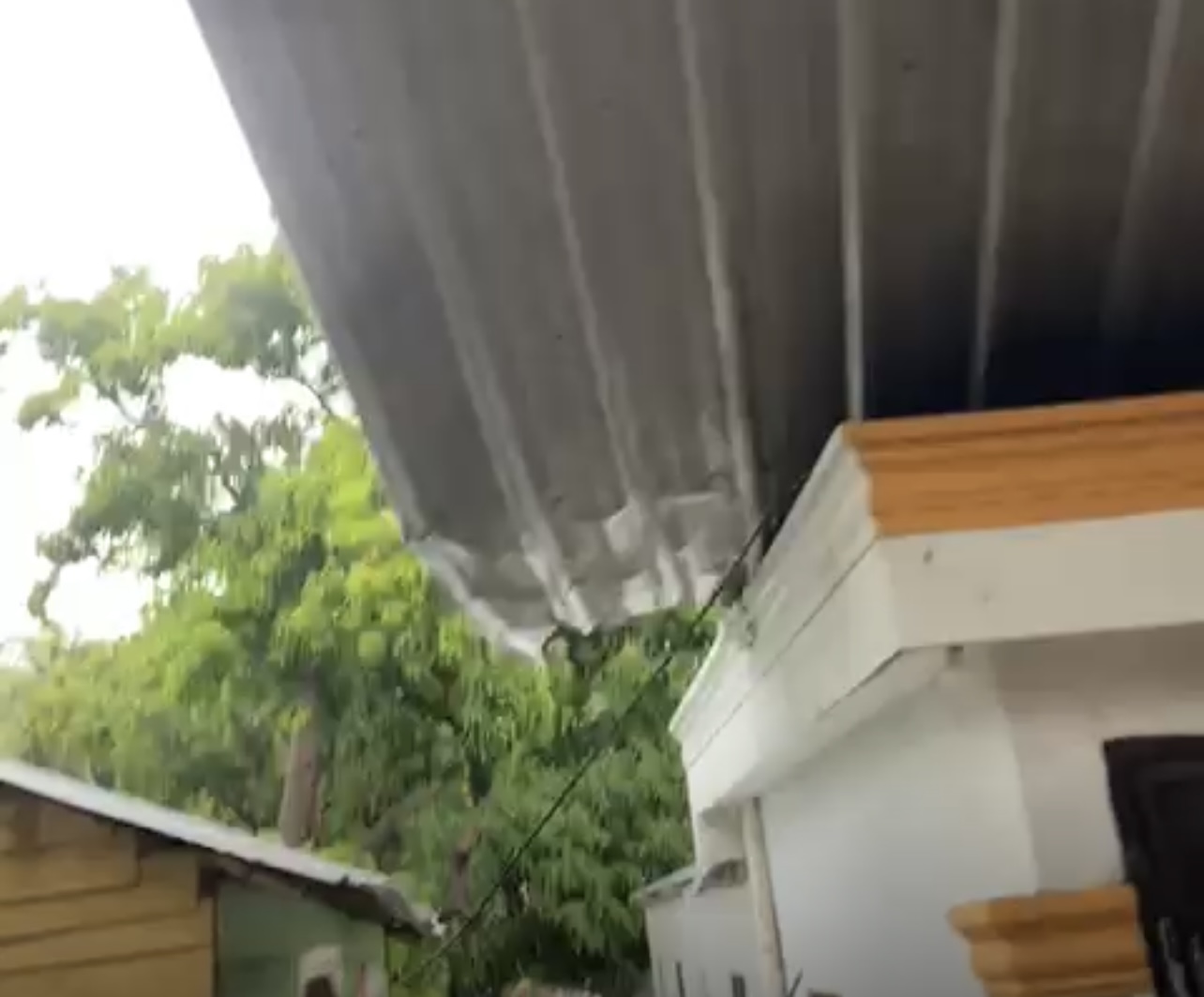 Fuerte tornado en Mao afectó casas y sembradíos este sábado imagen