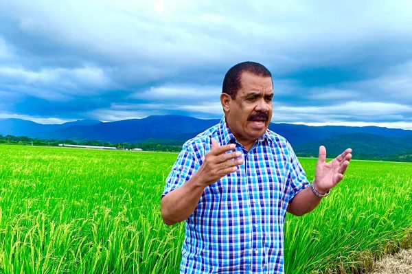 Dice Gobierno sigue asignando presupuesto «pírrico» al agro imagen