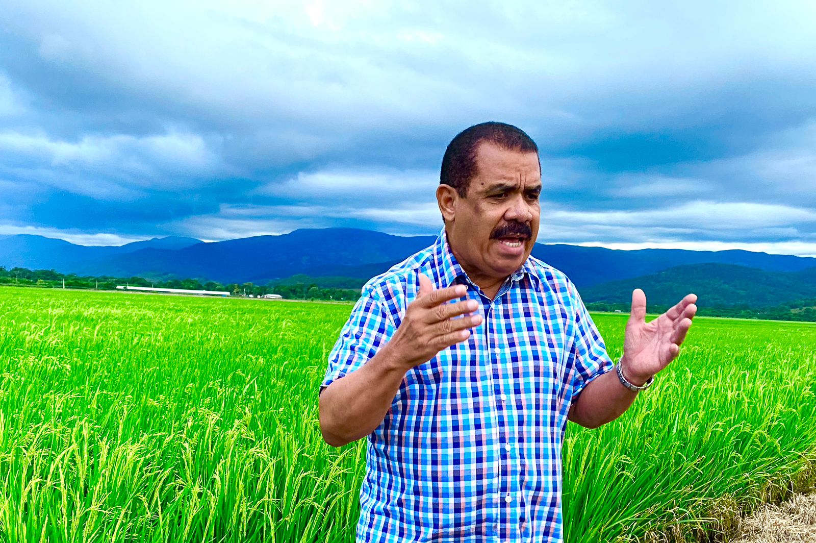 Sánchez Roa reclama Ministerio Agricultura alza en los precios imagen
