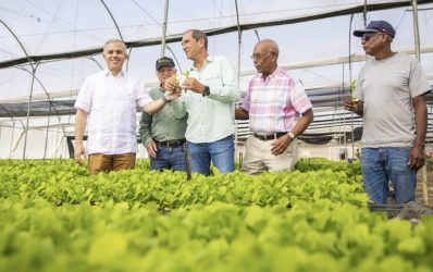 Producirán 15 mm de plantas de tabaco para zafra 2025-2026 Producirán 15 mm de plantas de tabaco para zafra 2025-2026