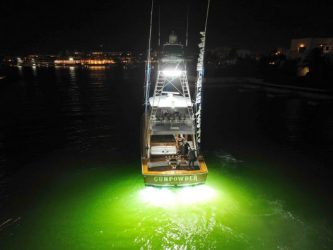 Cap Cana impone un récord de mayor liberación al marlin azul Cap Cana impone un récord de mayor liberación al marlin azul