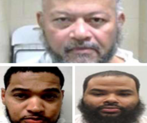 EU: Tres dominicanos entre 15 criminales arrestados por ICE