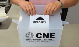 RD y otros 3 países exigen OEA informe sobre caso de Honduras RD y otros 3 países exigen OEA informe sobre caso de Honduras