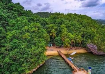 Detuvieron a 52 personas que depredaban en Los Haitises Detuvieron a 52 personas que depredaban en Los Haitises