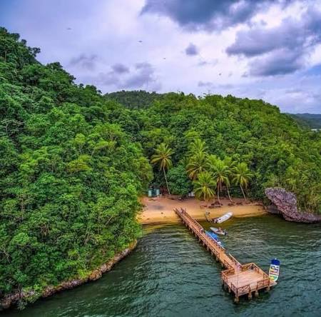 Detuvieron a 52 personas que depredaban en Los Haitises Detuvieron a 52 personas que depredaban en Los Haitises