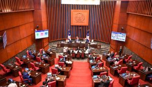 El Senado dominicano aprueba préstamos  por RD$15 mil mm