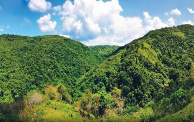 Multa de 60 millones de pesos a empresa por daño ambiental Multa de 60 millones de pesos a empresa por daño ambiental