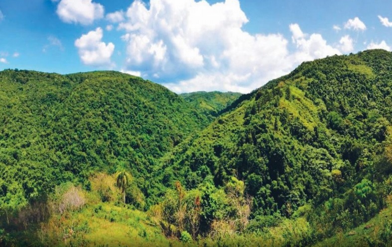 Multa de 60 millones de pesos a empresa por daño ambiental Multa de 60 millones de pesos a empresa por daño ambiental