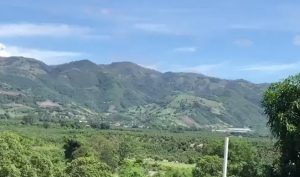 Multa de 60 millones de pesos a empresa por daño ambiental