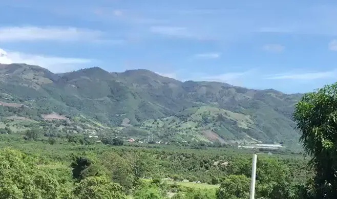 Multa de 60 millones de pesos a empresa por daño ambiental Multa de 60 millones de pesos a empresa por daño ambiental