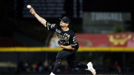 Leones del Escogido contratan al relevista Roel Ramírez