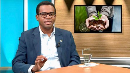 Economista ve 2026 inicia con precios altos en agropecuaria Economista ve 2026 inicia con precios altos en agropecuaria