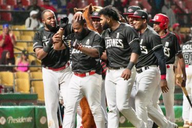 Leones avanzan a final beisbol RD; Aguilas y Toros empatan