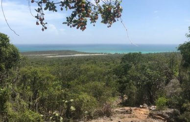 Abren investigación penal sobre maniobras en áreas protegidas