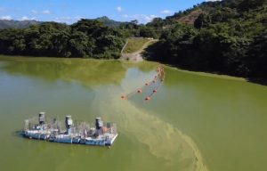Academia de Ciencias alerta de  contaminación Presa de Hatillo