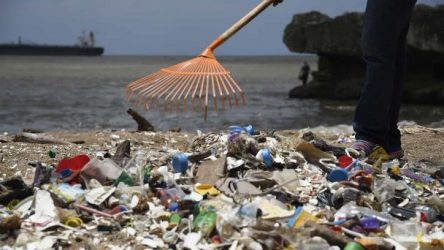 Productores solicitan revisión de Ley 98-25 de Residuos Sólidos Productores solicitan revisión de Ley 98-25 de Residuos Sólidos