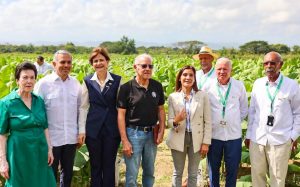 RD hace exportaciones tabaco por US$1,356 millones anuales