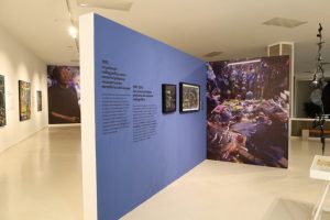 Museo de Arte Moderno de SD expone obra de martiniqués