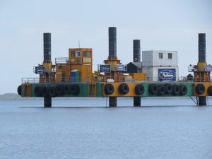 Entidad pide Presidente revisar el proyecto Manzanillo Power