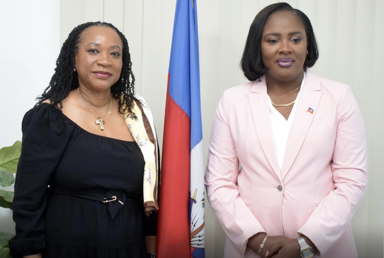 Enviada de la ONU ofrece apoyo a próximas elecciones en Haití imagen