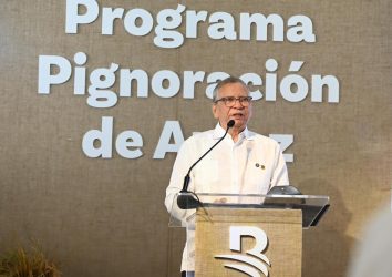 BR destina RD$12,000 millones para financiar producción arroz BR destina RD$12,000 millones para financiar producción arroz