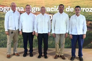 BR destina RD$12,000 millones para financiar producción arroz