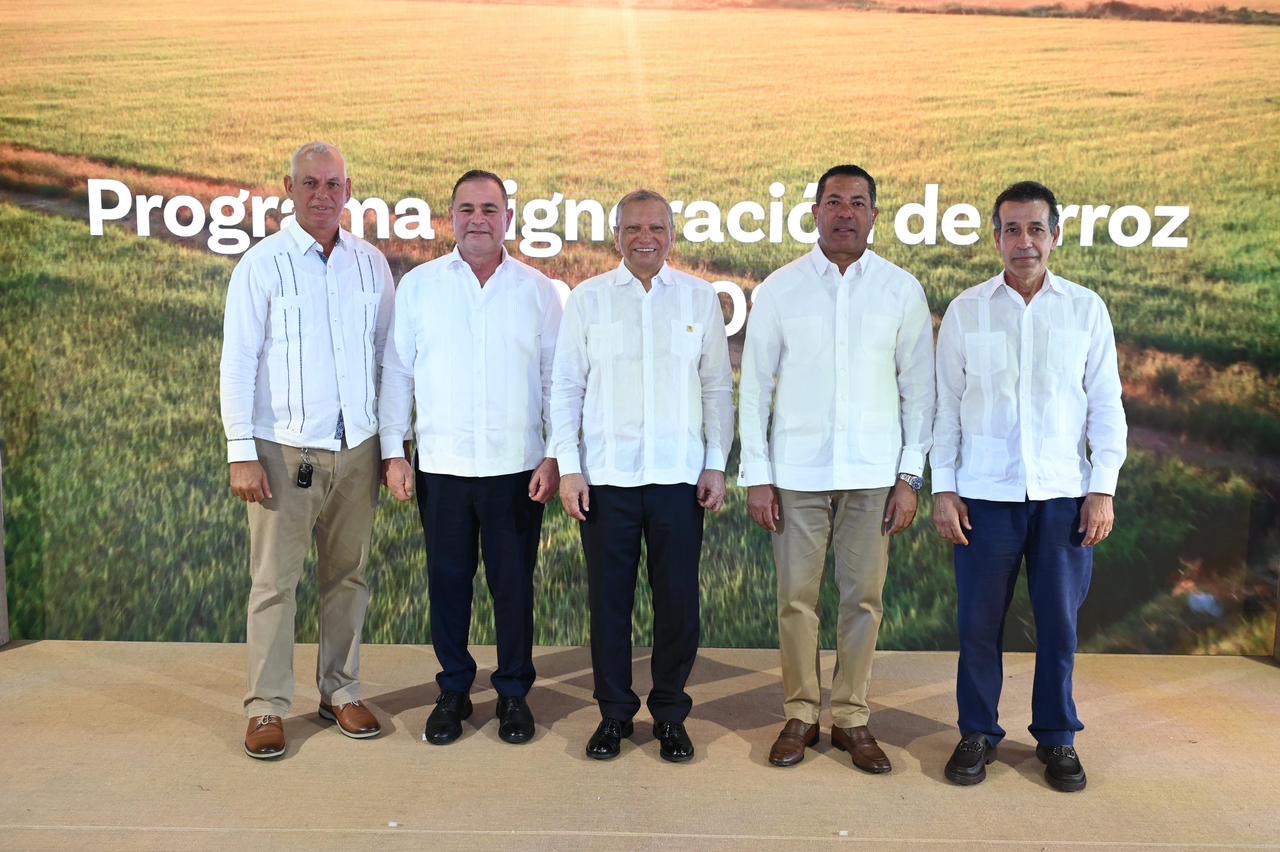 BR destina RD$12,000 millones para financiar producción arroz imagen