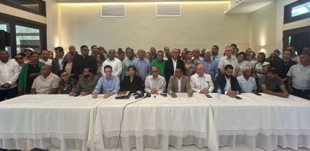 FP denuncia irregularidades en construcción avenida de Moca