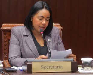 Diputada niega su familia esté   involucrada en irregularidades